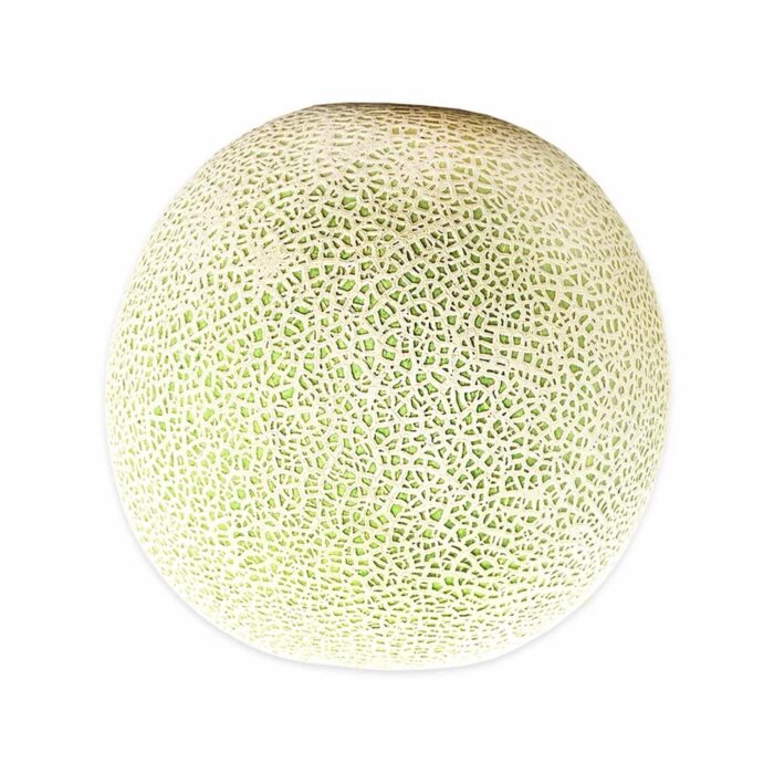 Cantaloupe Melon Fresh Organic Cut – Bild 2